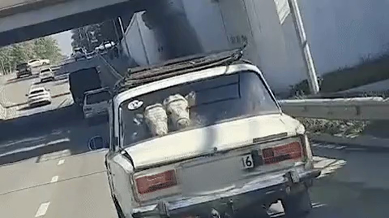 Кадры из видео