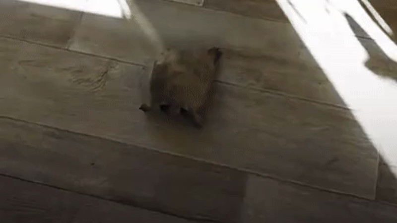 Кадры из видео