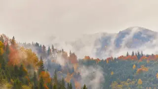 Дожди и туман: какой будет погода в Казахстане сегодня, 21 сентября