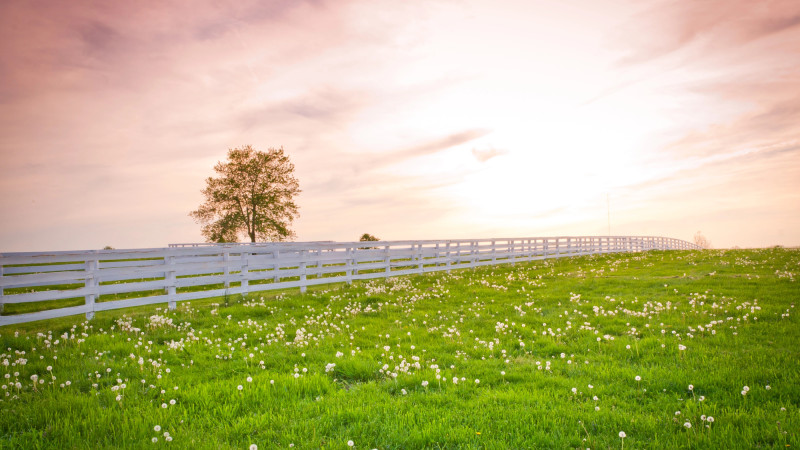 Фото:depositphotos.com