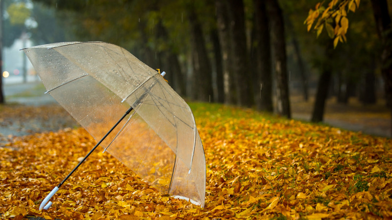 Фото:depositphotos.com