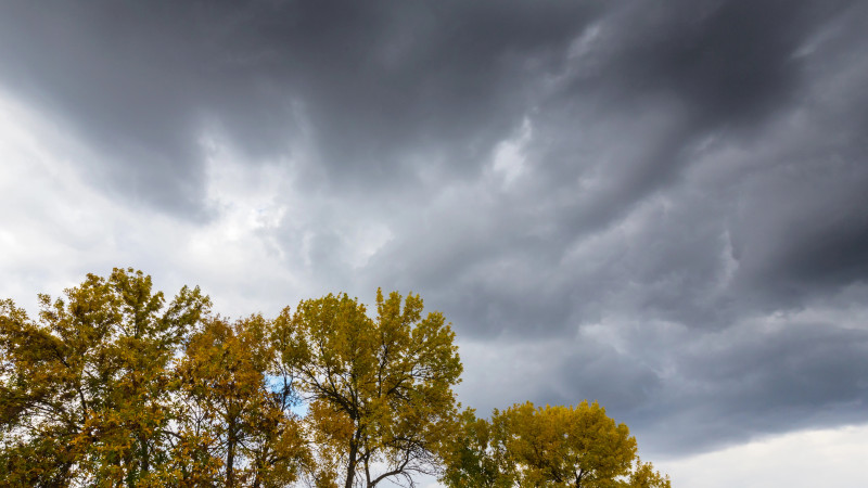 Фото:depositphotos.com