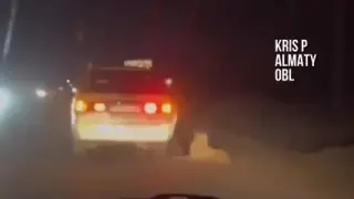 Мужчину привлекли к ответственности за жестокое обращение с животными в Талгарском районе