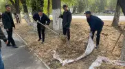 В Жамбылской области продолжается экологическая акция “Таза Қазақстан“