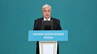 Токаев упрекнул депутатов маслихатов за формальные отчеты