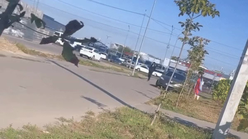 Кадры из видео