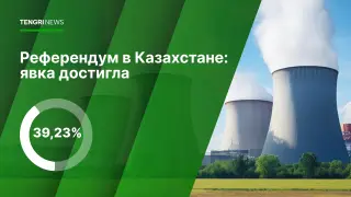 Явка казахстанцев на референдум составила 39,23 процента