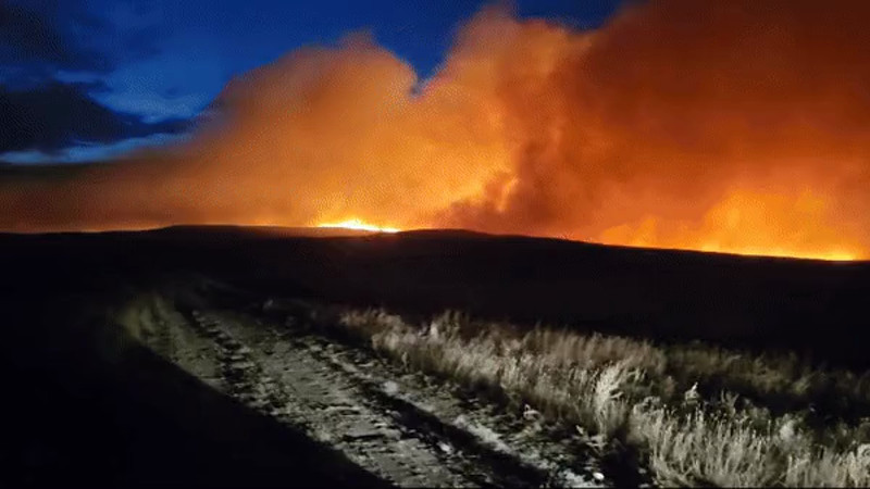 Кадры из видео