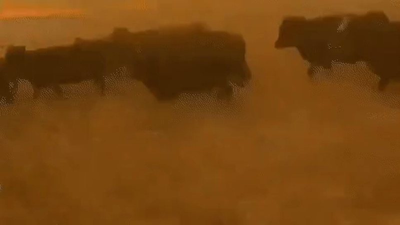 Кадры из видео