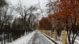 Холода приближаются: снег выпал на севере Казахстана