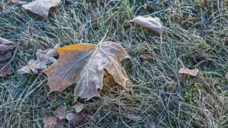 Метель и гололед: почти по всему Казахстану объявили штормовое предупреждение