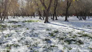 Дыхание зимы: морозы и снег придут на юг Казахстана