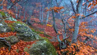 15-градусные морозы и ливни: погода в Казахстане на 18 октября