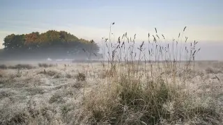 Туман и заморозки: в 11 областях Казахстана объявили штормовое предупреждение