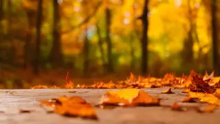 В Казахстане началась короткая рабочая неделя