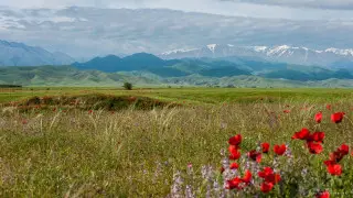 Казахстан вошел в список лучших стран для путешествий