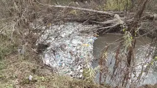 “До сих пор не убрали“: горы мусора в реке недалеко от Алматы шокировали казахстанца