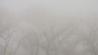 Морозы крепчают: погода в Казахстане на 30 октября