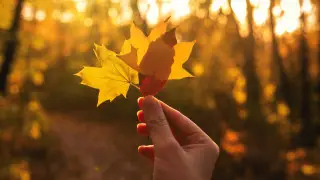 Тепло вернется в Казахстан