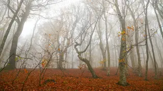 Резкое похолодание придет в Казахстан