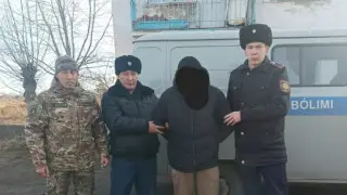 Жена разбудила: гвардеец поймал наглого угонщика авто в Кокшетау