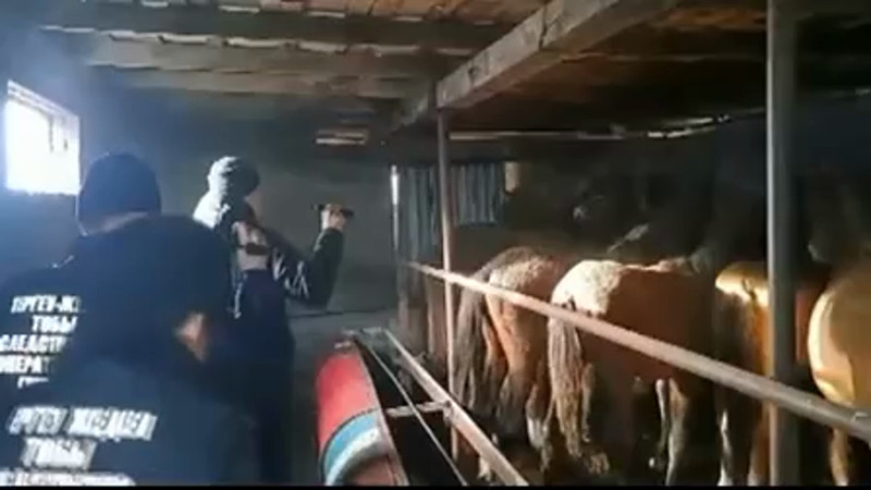 Кадры из видео