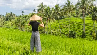 О малоизвестной опасности на популярном курорте предупредила туристка