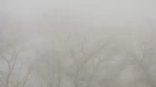 Готовьтесь к метели: прогноз погоды в Астане и Алматы на 3 дня