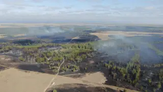 Экс-главу лесхоза обязали выплатить 21 миллиард за крупный пожар