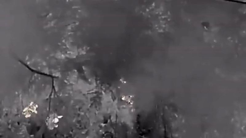 Кадры из видео