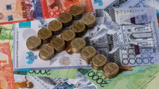 Сенат вернул в Мажилис законопроект о бюджете на 2025–2027 годы