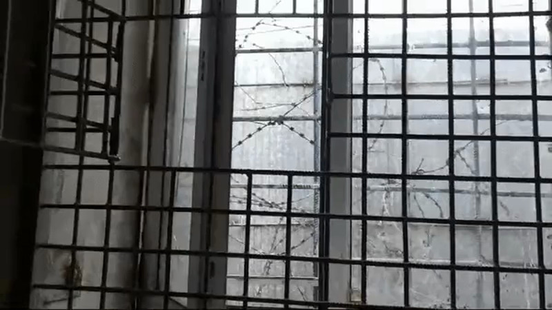 Кадры из видео