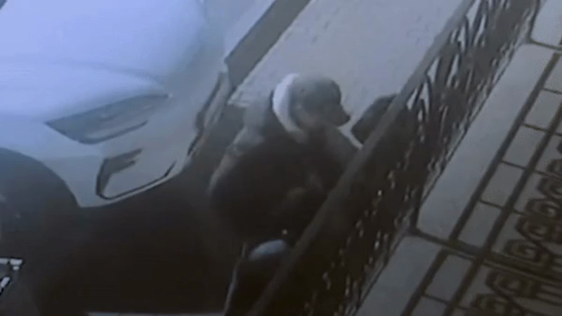 Кадры из видео