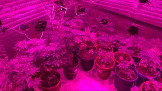 “Узнал из интернета“: нарколабораторию соорудил сельчанин в Акмолинской области