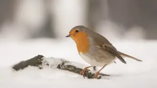 Антициклон над Казахстаном: где ждать непогоду