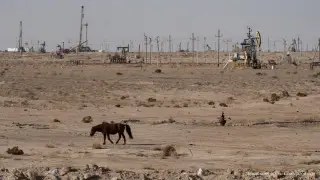 В ближайшие 15 лет запасы углеводородов будут исчерпаны - депутат