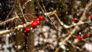 Потепление и ветер до 30 метров в секунду: погода в Казахстане на 26 ноября