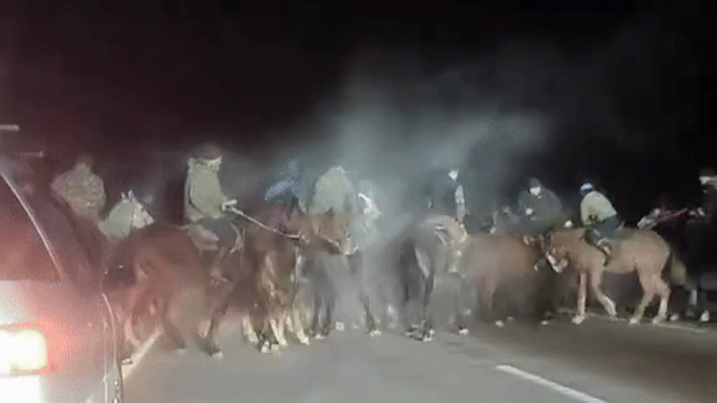 Кадры из видео