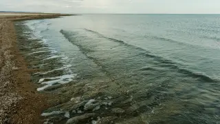 Как увеличат Аральское море, рассказали в Минводы