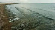 Как увеличат Аральское море, рассказали в Минводы
