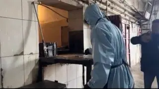 Еще две коровы погибли от сибирской язвы в Атырау