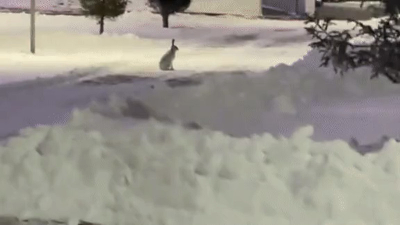 Кадры из видео