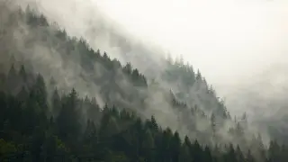 Осадки, туман, гололед: синоптики предупредили жителей Астаны и регионов