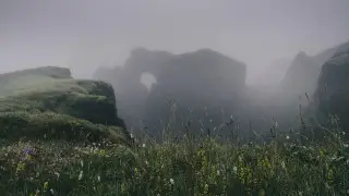 Туман накроет половину Казахстана: синоптики предупредили жителей мегаполисов и регионов