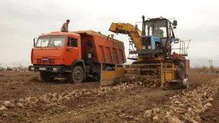 На субсидирование АПК Жамбылской области выделили 24,6 миллиарда тенге