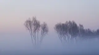 Метель и мороз до 28 градусов: погода в Казахстане на 10 декабря