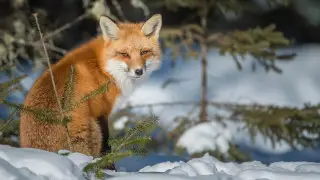 Резкое похолодание придет в Казахстан