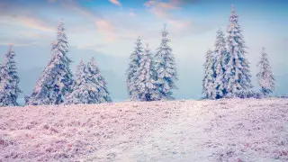 Снег и похолодание принесет циклон в Казахстан