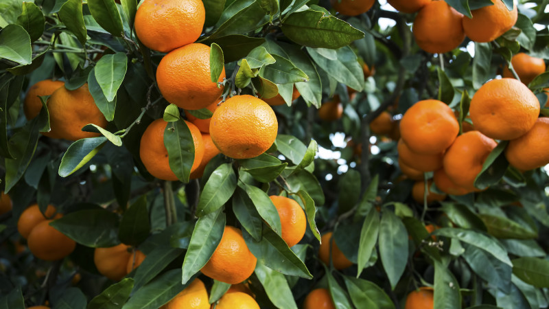 Фото: depositphotos.com