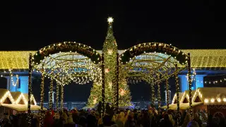 В Алматы зажглись огни 80 елок: город дал старт праздничным мероприятиям